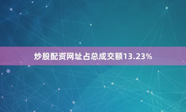 炒股配资网址占总成交额13.23%