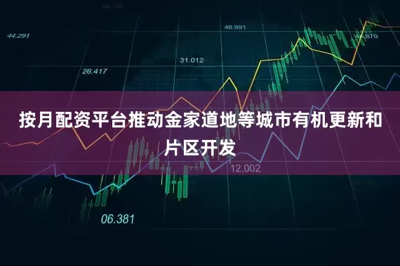 按月配资平台推动金家道地等城市有机更新和片区开发
