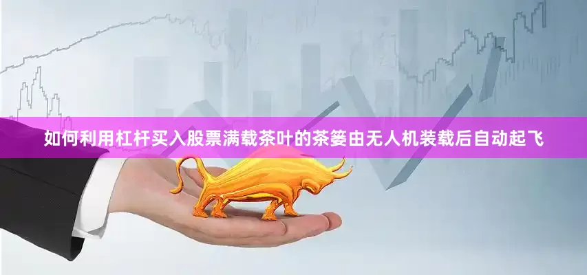 如何利用杠杆买入股票满载茶叶的茶篓由无人机装载后自动起飞