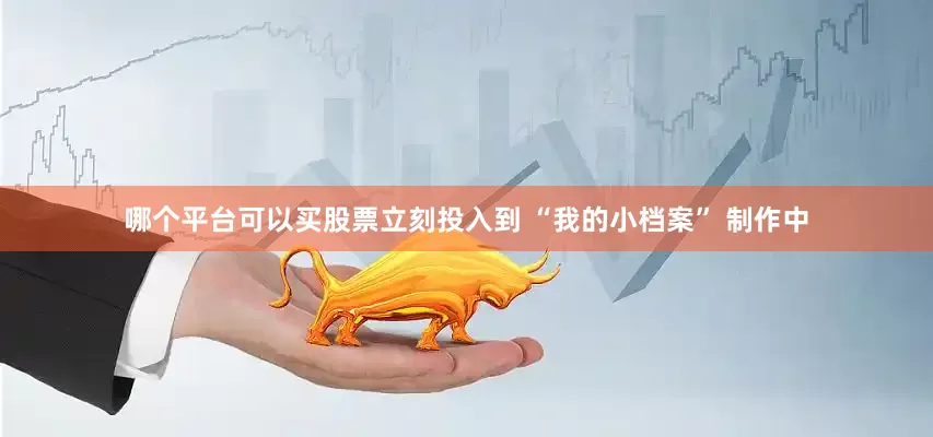 哪个平台可以买股票立刻投入到 “我的小档案” 制作中