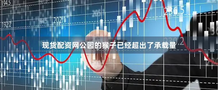 现货配资网公园的猴子已经超出了承载量