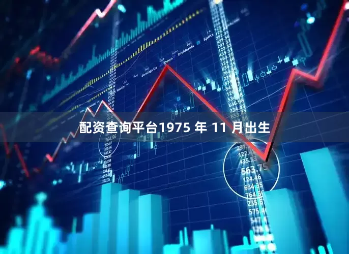 配资查询平台1975 年 11 月出生