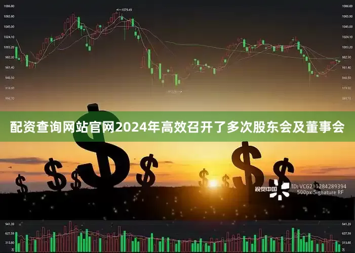 配资查询网站官网2024年高效召开了多次股东会及董事会