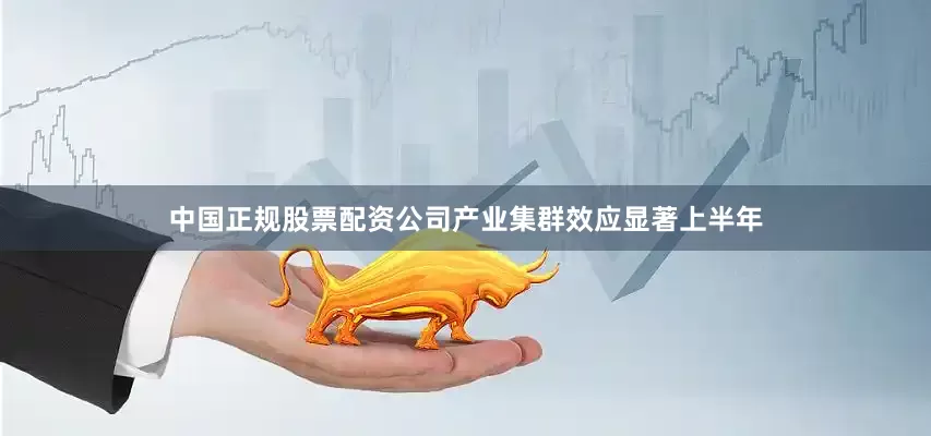 中国正规股票配资公司　　产业集群效应显著　　上半年